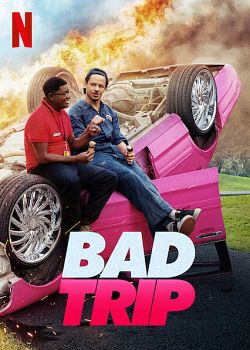 Bad Trip FRENCH WEBRIP 720p 2021