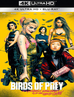 Birds of Prey MULTi 4K ULTRA HD x265 2020