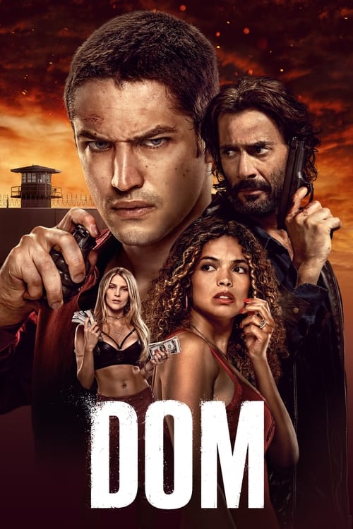 Dom FRENCH Saison 1 HDTV 1080p 2021