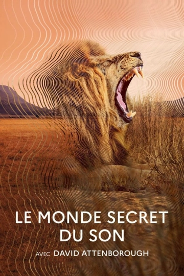 Le monde secret du son avec David Attenborough VOSTFR S01E01 HDTV 2024