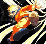 Naruto Shippuden 212 VOSTFR