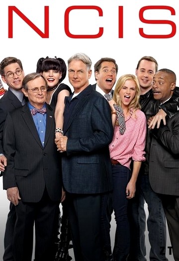 NCIS S14E23 VOSTFR HDTV