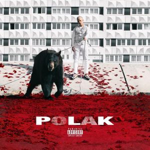 PLK - Polak 2018