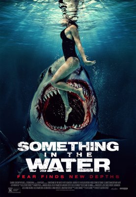 Something In The Water FRENCH WEBRIP 2024 FRENCH WEBRIP 2024