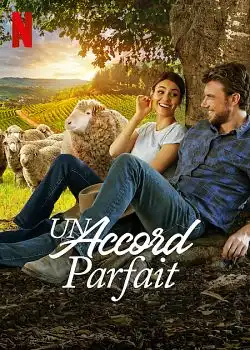 Un accord parfait FRENCH WEBRIP 1080p 2022